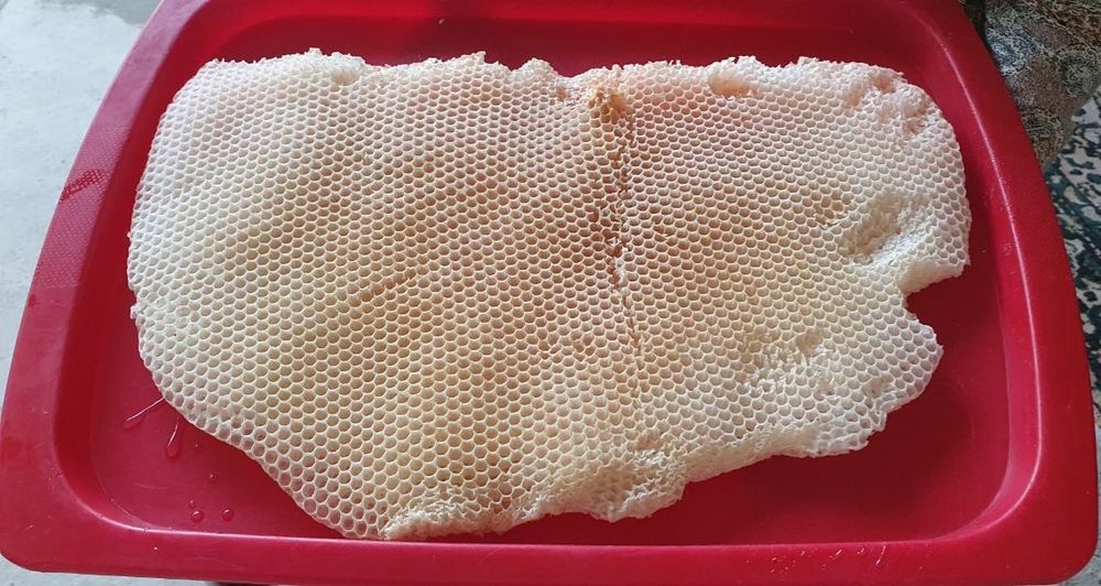 Натуральный мёд toza asal