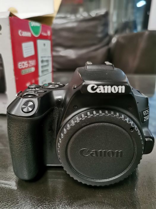 Canon 250D + Sigma 17-50 f 2,8