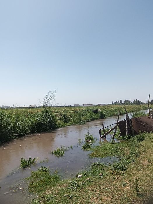 6 ta xona xoli bn bektemirda