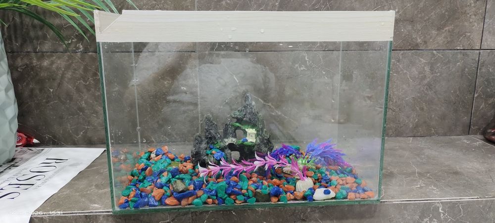 Аквариум для рыб