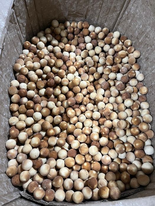 Курт разных видов доставка по городу