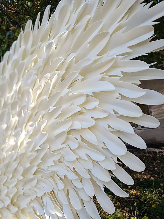 Aripi Inger Gigant pe comanda_PhotoCorner