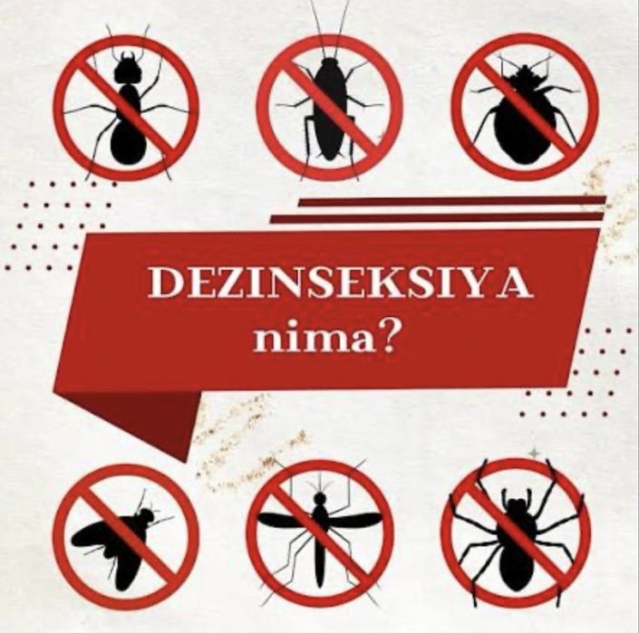 дезинфекция от клопов