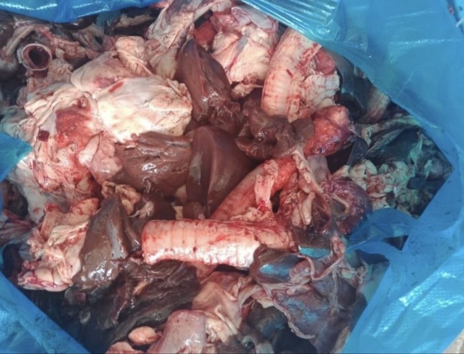 Корм для собак и кошек