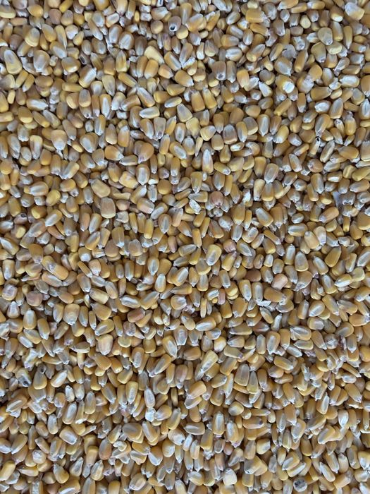 Корма оптом с доствкой