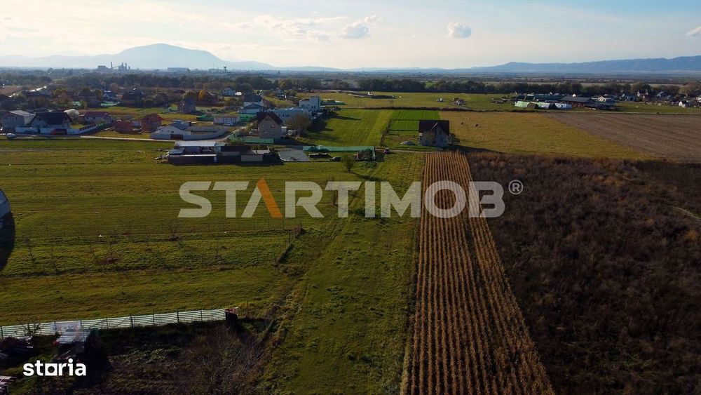 Teren intravilan  in localitatea Bod
