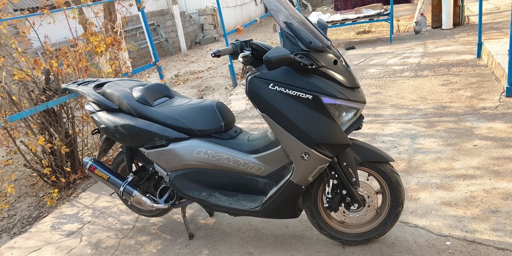 Liya Z Max мопед