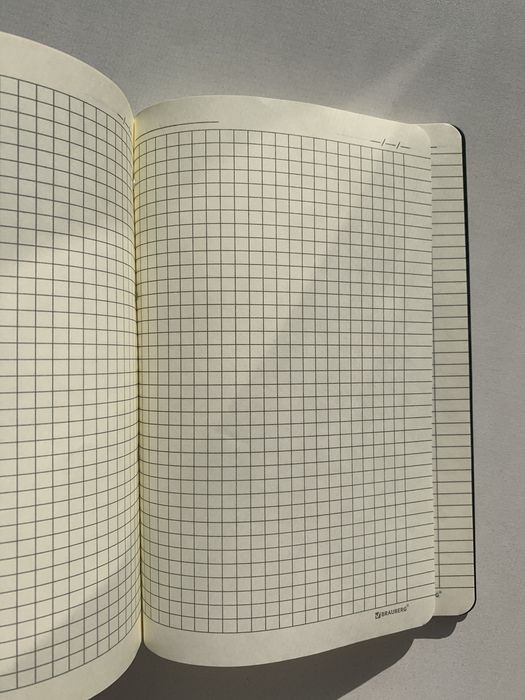 Тетрадь на кольцах А5 | Brauberg