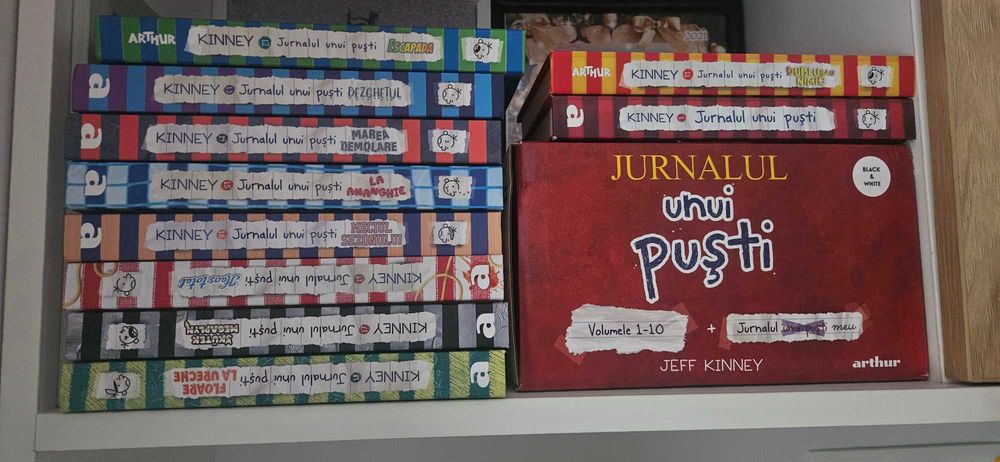Jurnalul unui puști