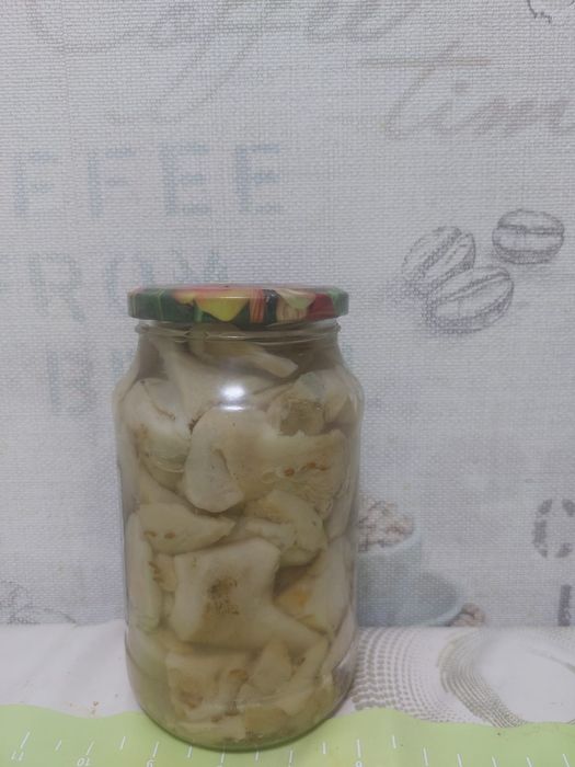 Грибы соленые валуи