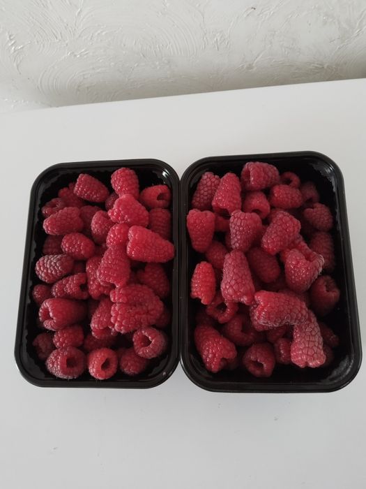 Малина сорт ПШЕХИБА крупный сорт