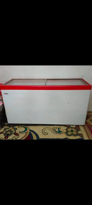 Морозильник немесе мұздатқыш