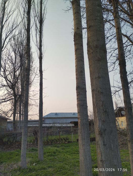 Teraklar sotiladi 8 dona