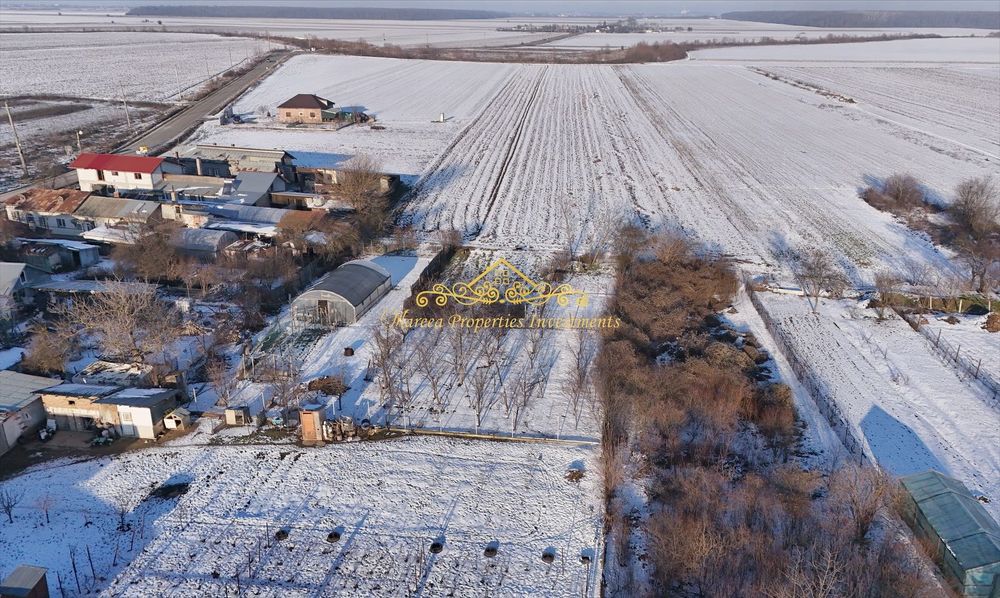 Teren Trestieni Ulmi Giurgiu pt casa