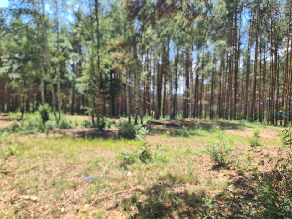 Продава се Парцел в Казанлък - 6200 кв.м за 10 €/кв.м - Снимка #4