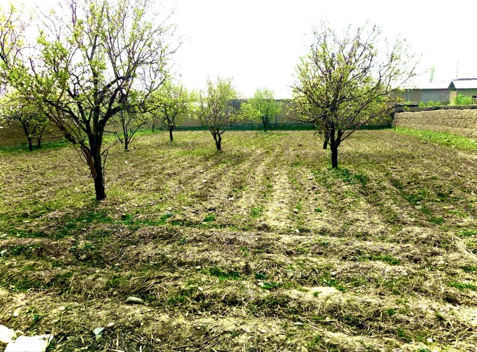 Namangan Turaqurg’on 10sotix sotiladi