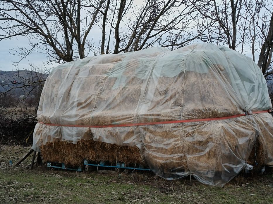 Vand baloti de lucernă cu fan.