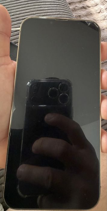 Iphone 13 pro max 256gn