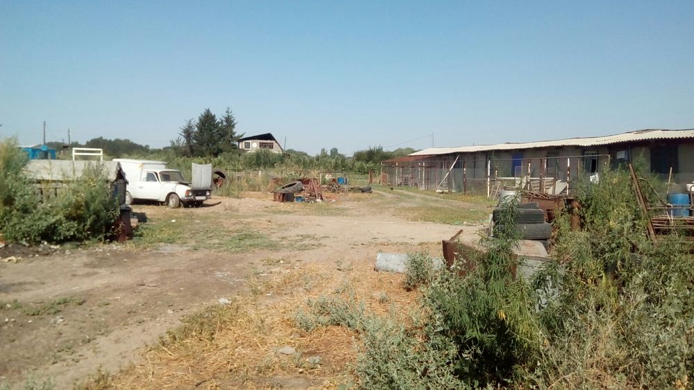 Продам усадьбу возле посёлка Кошмамбет