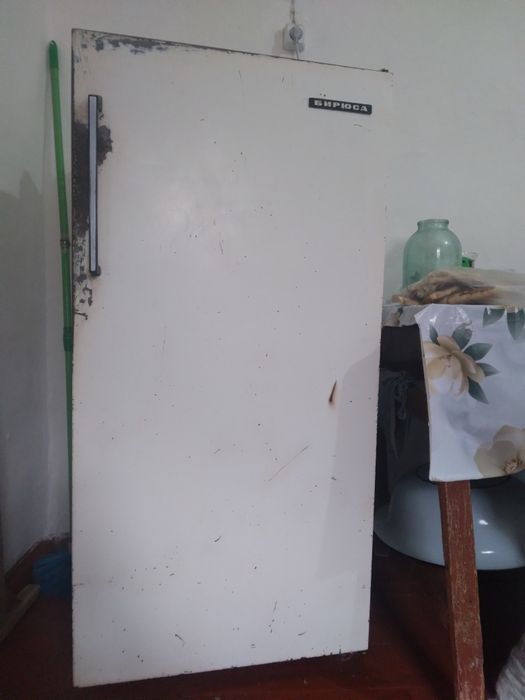 Biryusa xolodilnik satiladi