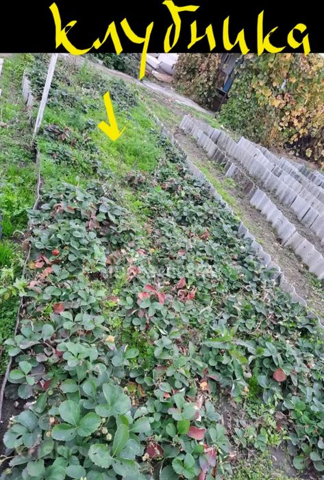 Продам дачу на бобровке