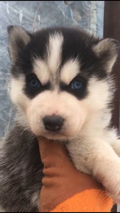 Мальчик красавчик