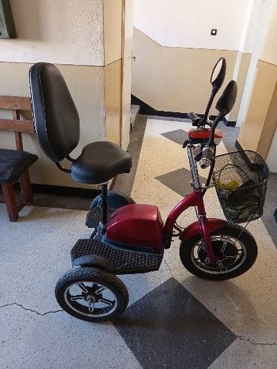 Електрическа триколка  A3 PREMIUM 750W 3 скорости