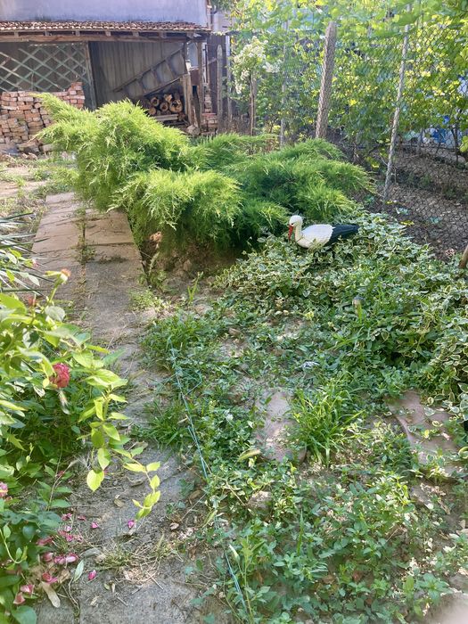 Продава се Многостаен апартамент в Силистра, в.з. Юг - 120 кв.м за 1096 €/кв.м - Снимка #7