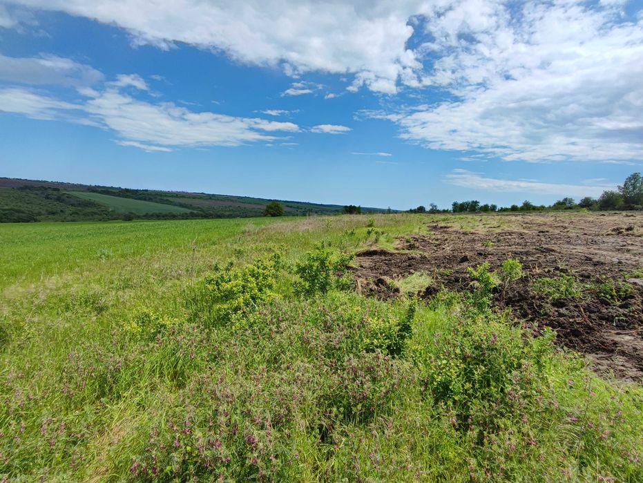 Продава се Парцел в к.к. Камчия - 1000 кв.м за 30 €/кв.м - Снимка #1