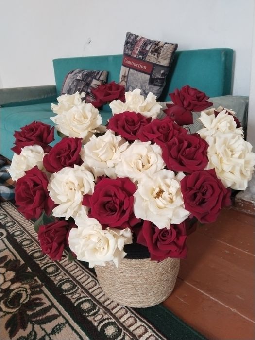 Цветы 7 дней гарантия