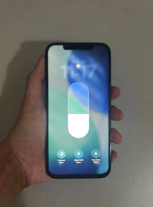 Iphone 12 Pro Max 256