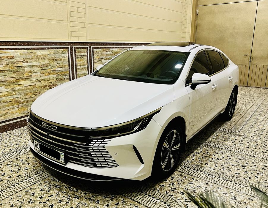 BYD Chazor 120 tali Kraska Toza