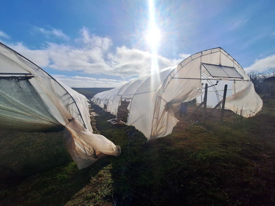 Продавам оранжерии Тервел