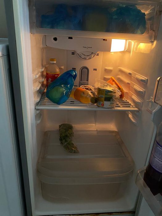 Ремонт холодильников, морозильников сегодня рядом