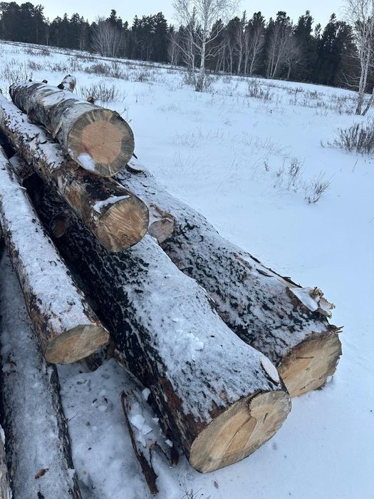 Продам лес сосна, кругляк