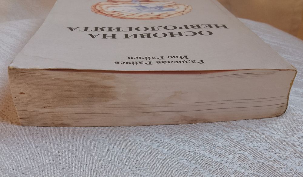 Основи на неврологията