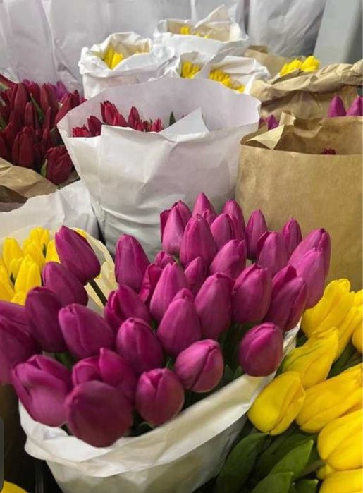 Тюльпан оптом ДЕШЕВО