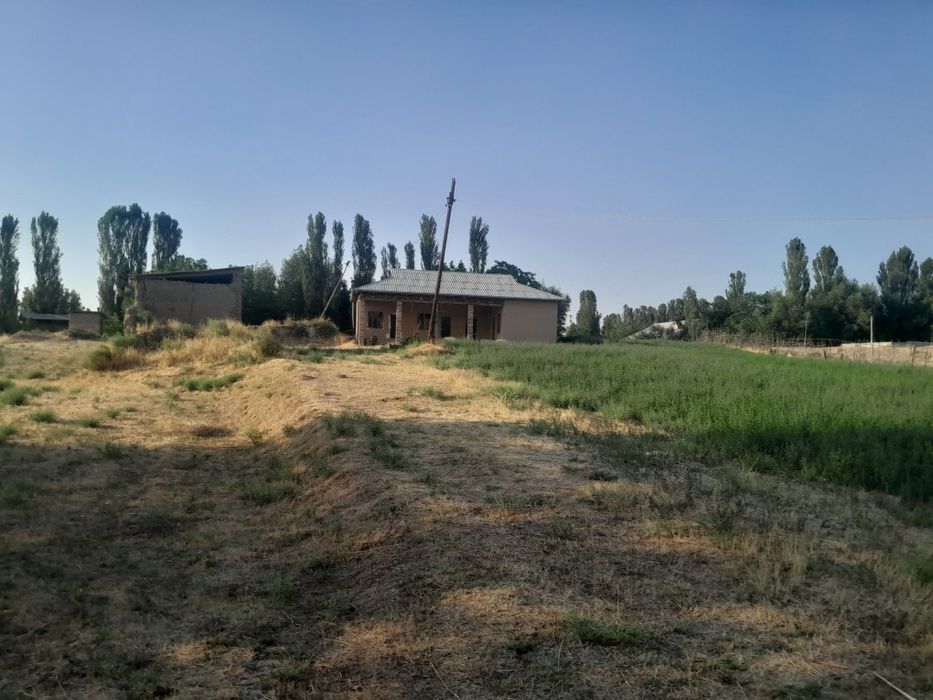 10 sotug er satiladi