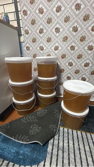 Продам свежий мёд горное разнотравье