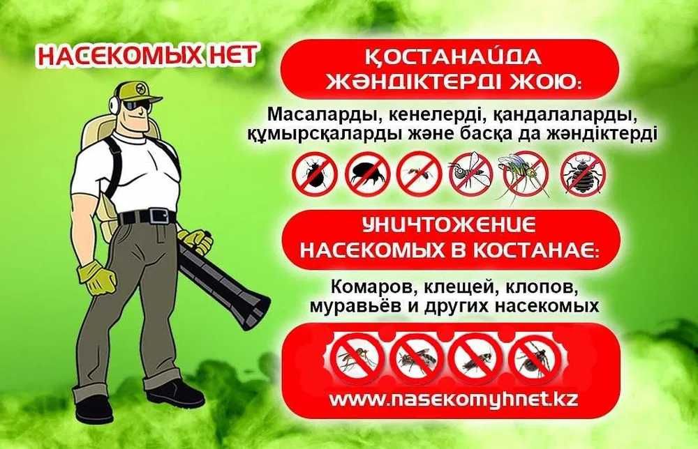Уничтожение блох, клопов, тараканов.