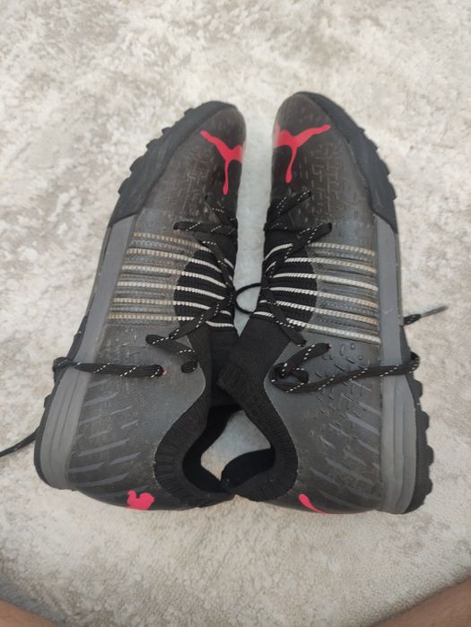 сороконожки пума