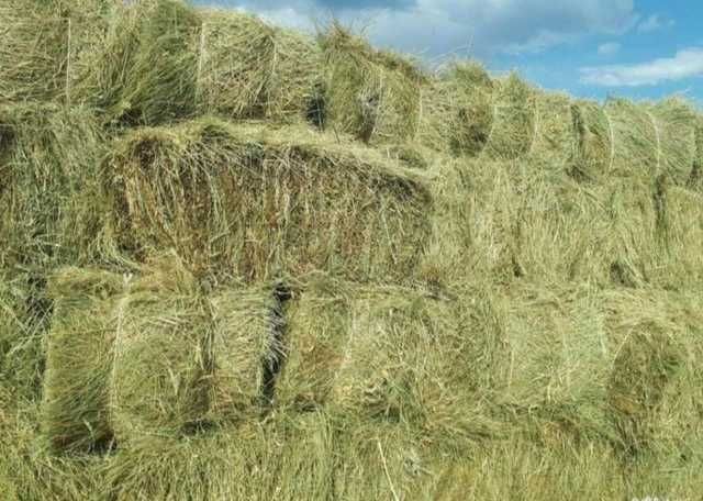 СЕНО. Костёр в тюках по 20кг