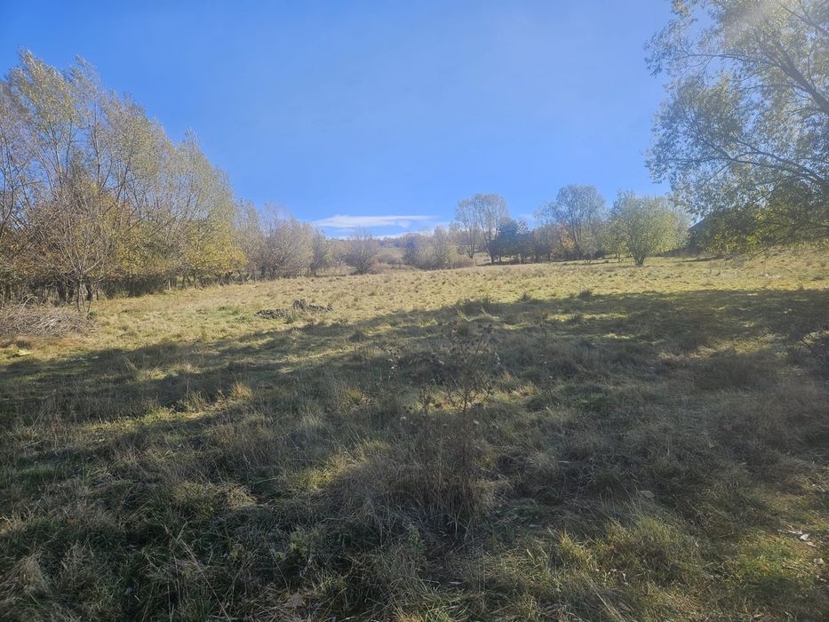 Teren in suprafata de 7685 mo