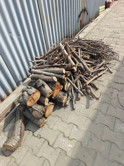 Дрова на растопку бесплатно