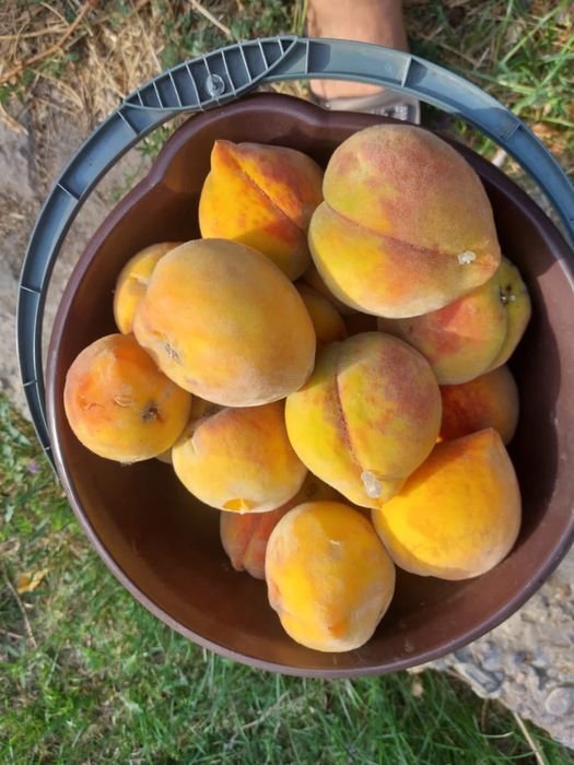 Продам ДАЧУ или ОМБЕН на машину