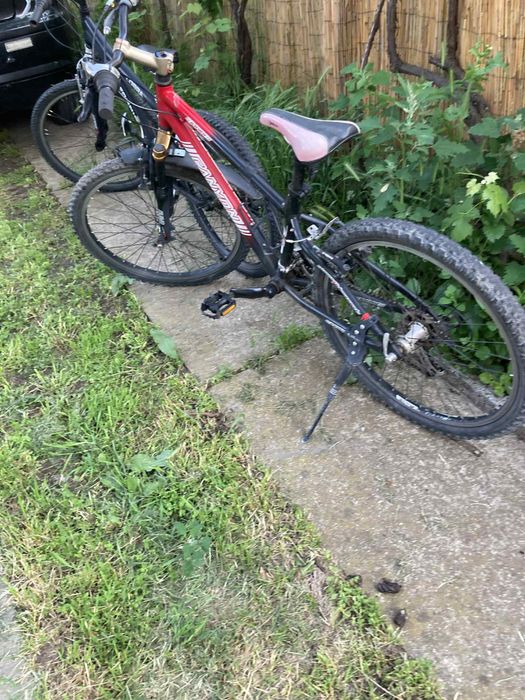 Колела - 2 на брой