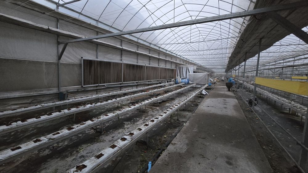 Иссикхона, теплица ер орни билан сотилади