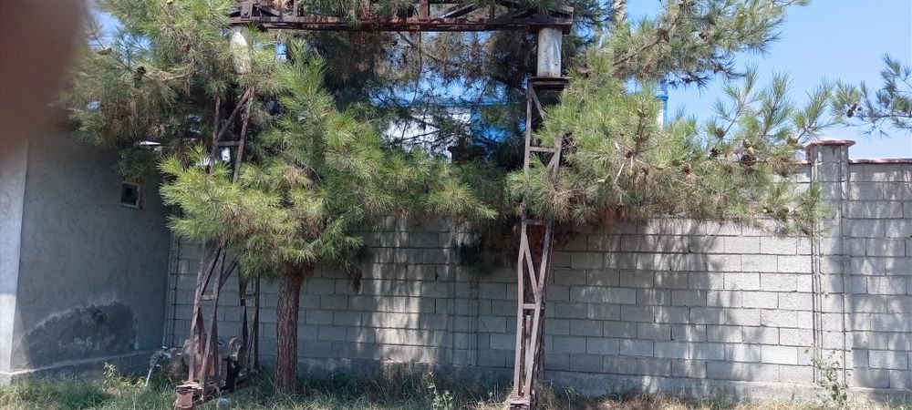 3.5 tonnalik tal sotiladi