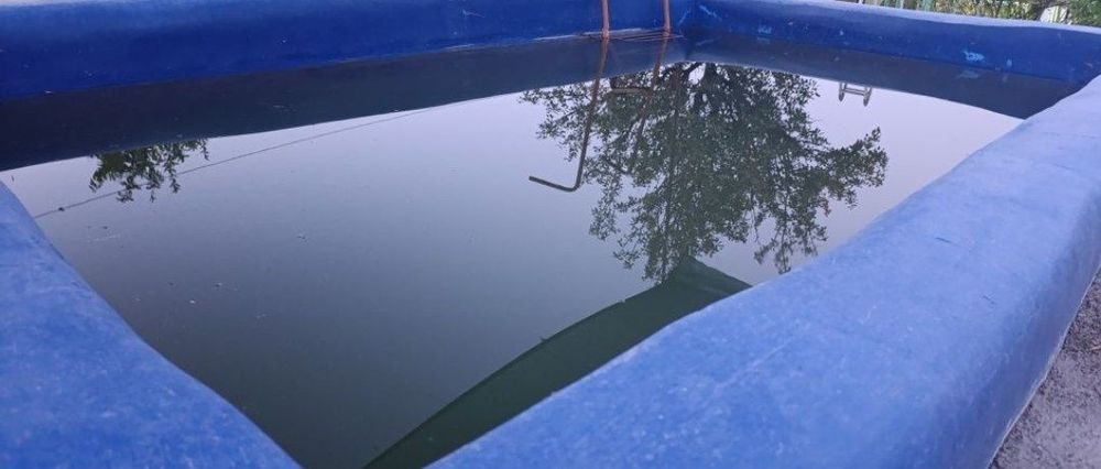 Продается дача с кристально чистым воздухом!