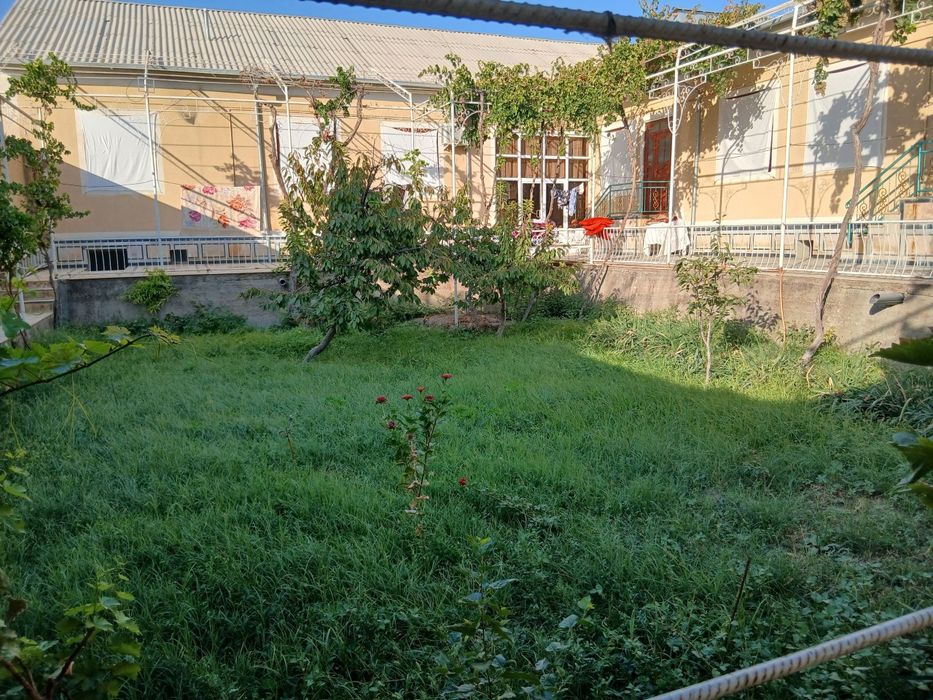 Шейхондан 6 сотихли участка